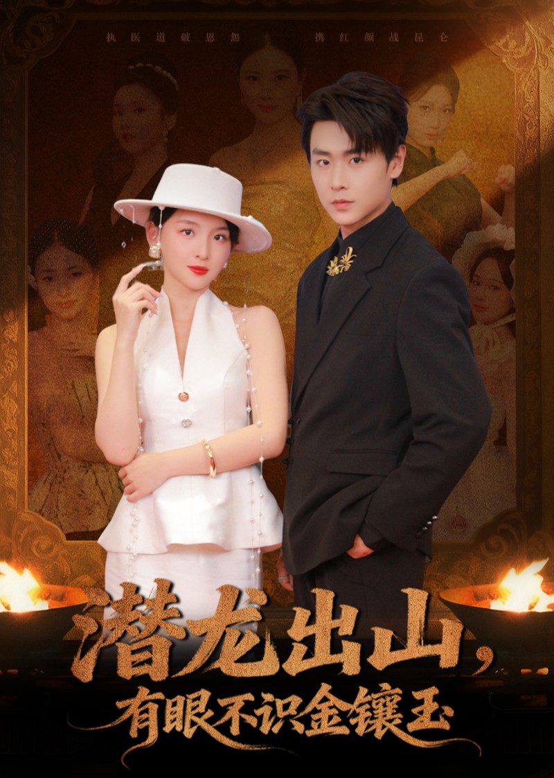 潜龙出山，有眼不识金镶玉封面图