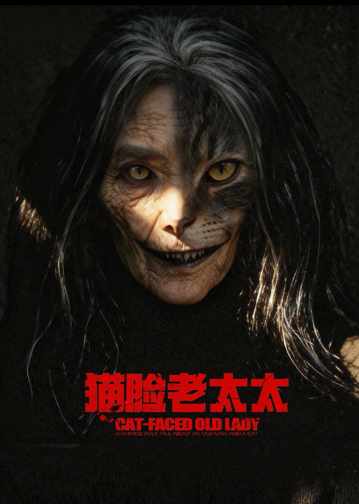 猫脸老太太封面图