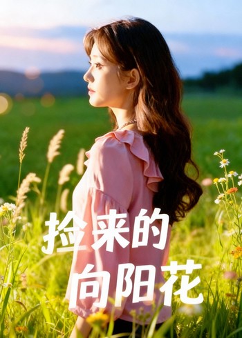 捡来的向阳花封面图