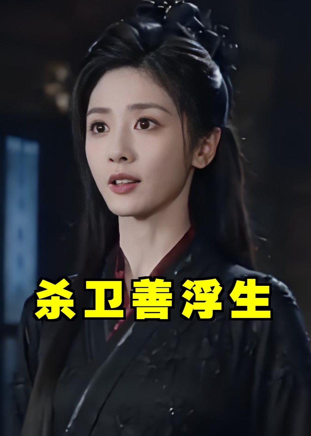 杀卫善浮生封面图