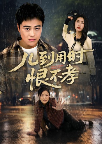 儿到用时恨不孝封面图