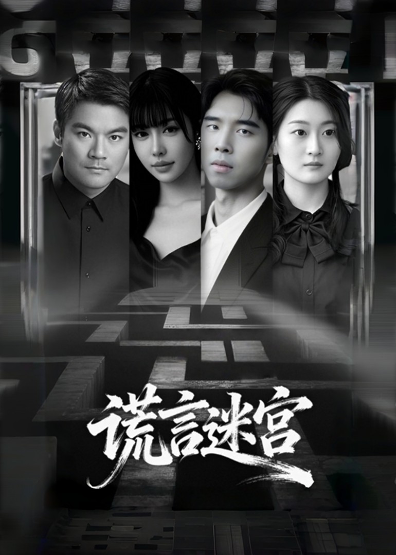 谎言迷宫封面图