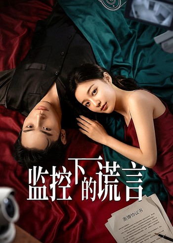 监控下的谎言封面图