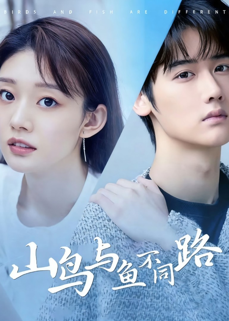 山鸟与鱼不同路