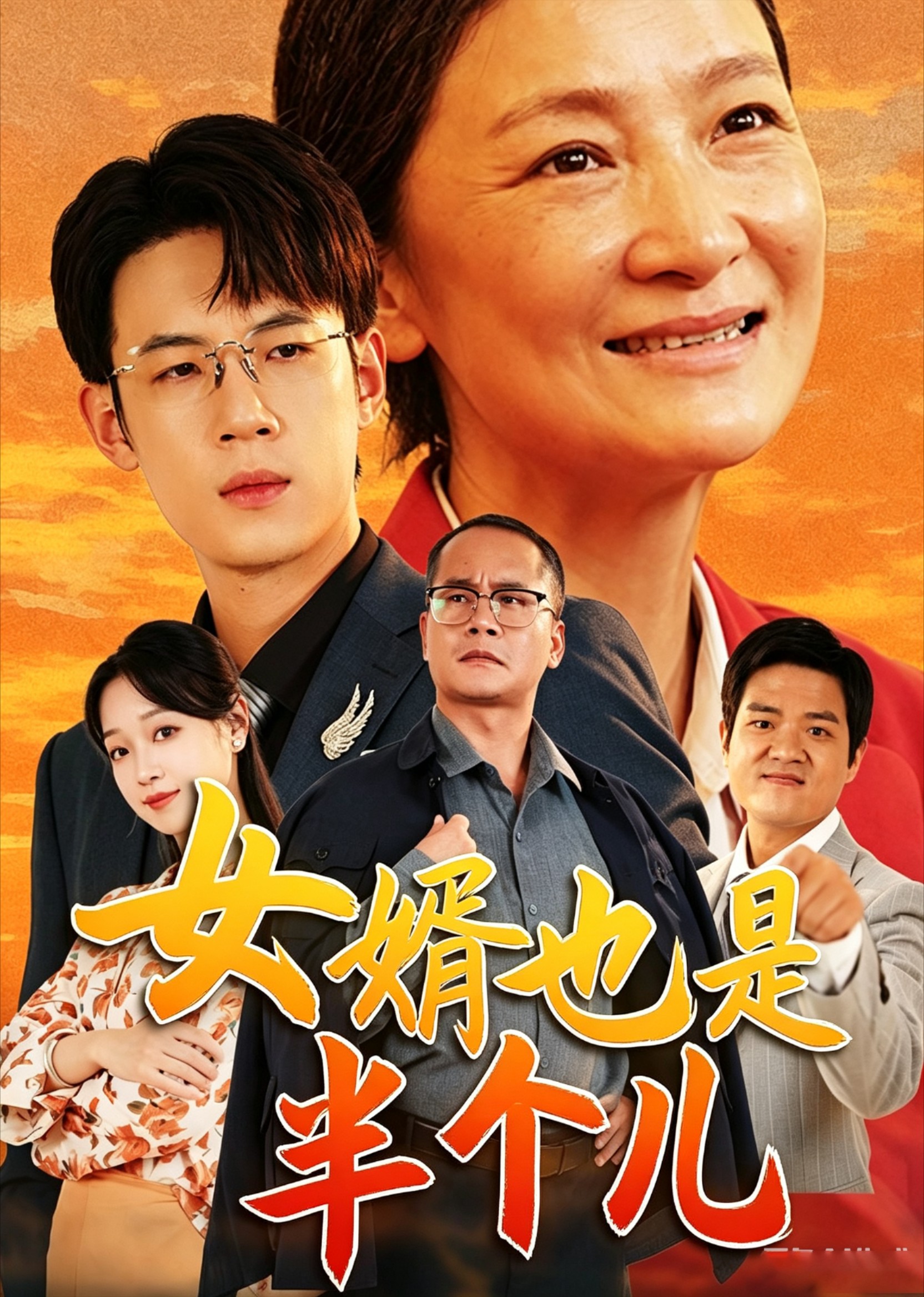 女婿也是半个儿封面图