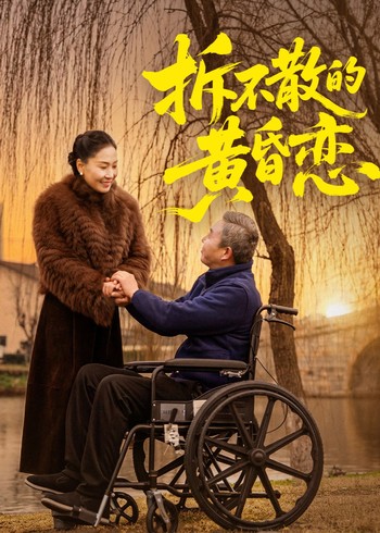 拆不散的黄昏恋封面图