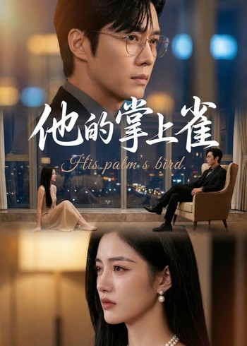 他的掌上雀封面图