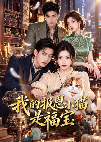 我的报恩小猫是福宝