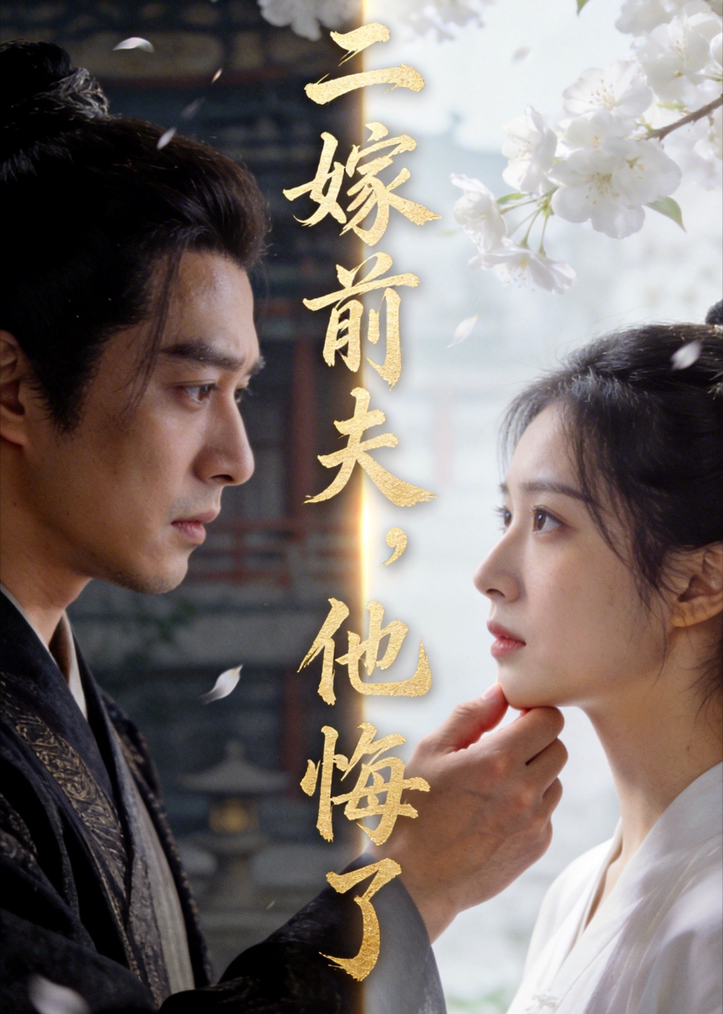 二嫁前夫，他悔了