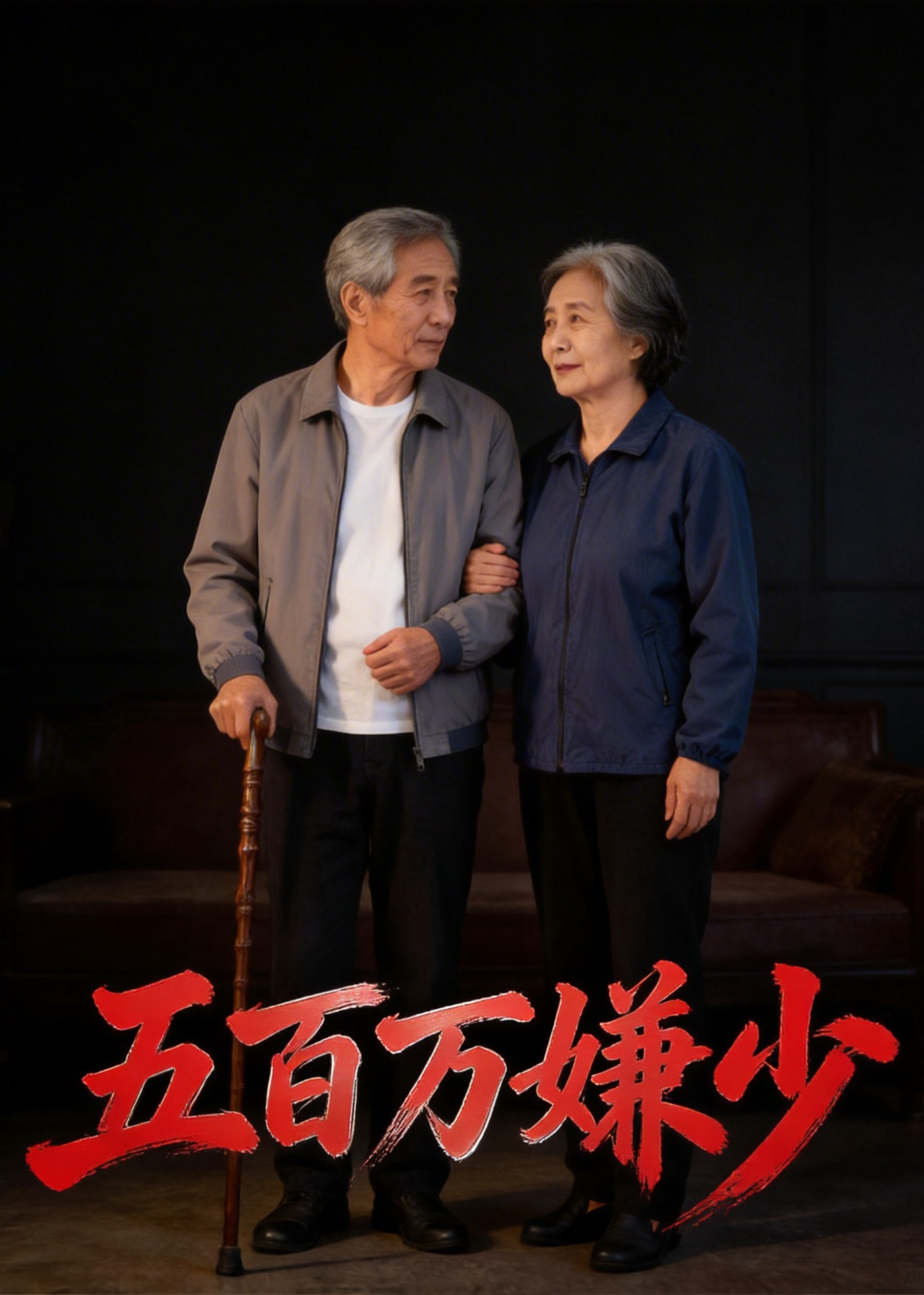 五百万嫌少封面图