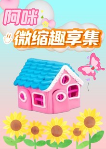 阿咪微缩趣享集