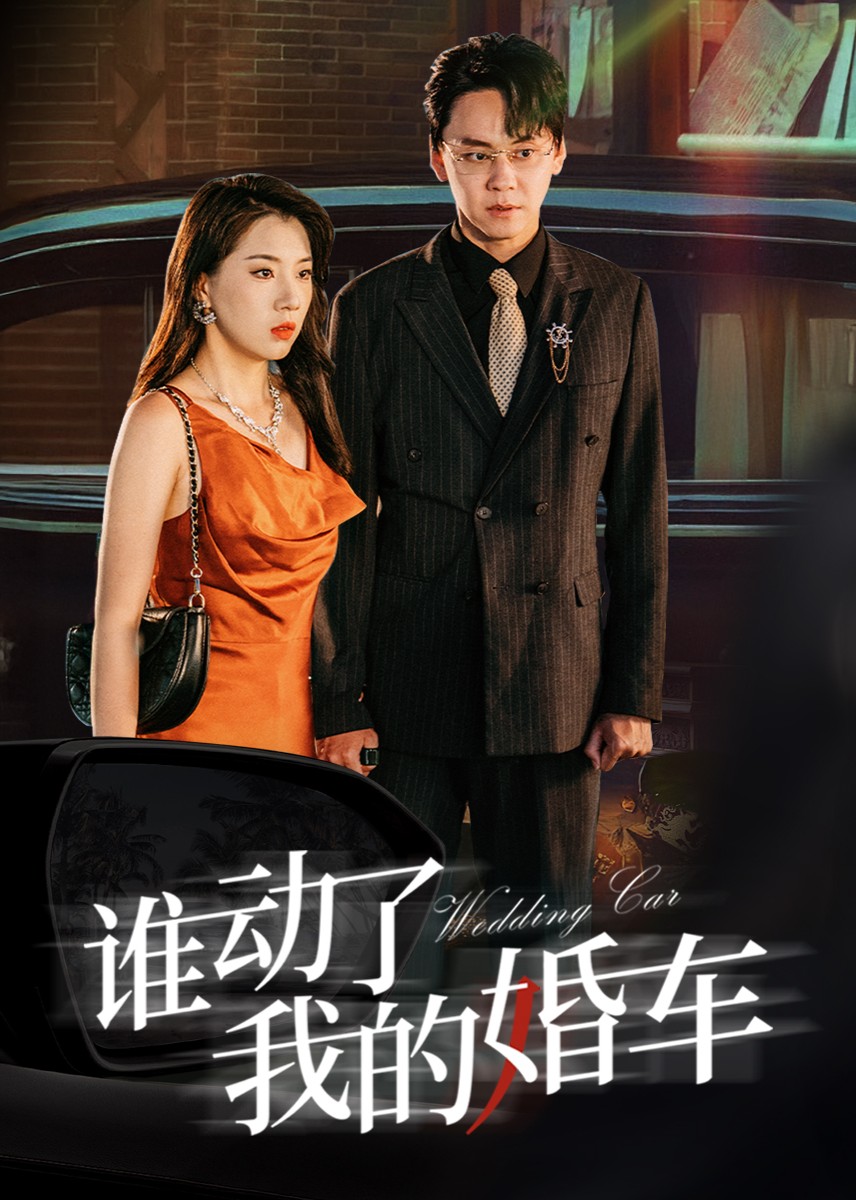 谁动了我的婚车封面图