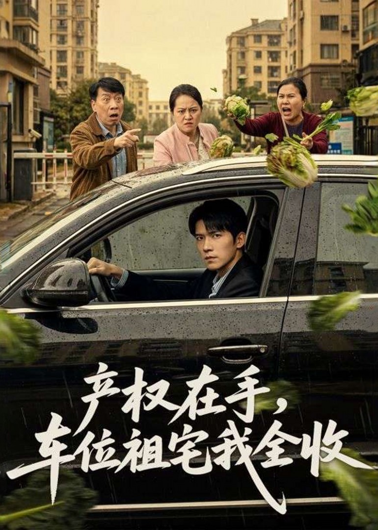 产权在手，车位祖宅我全收