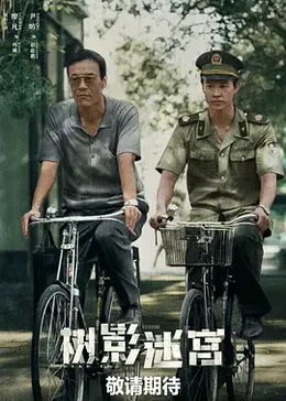 树影迷宫封面图