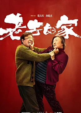 老去的家