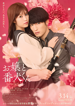 大小姐和看门犬