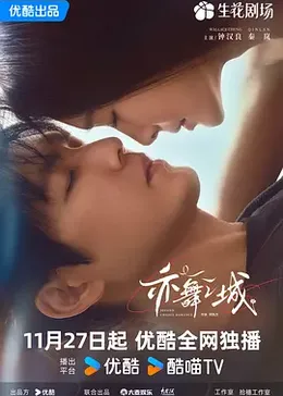 亦舞之城封面图