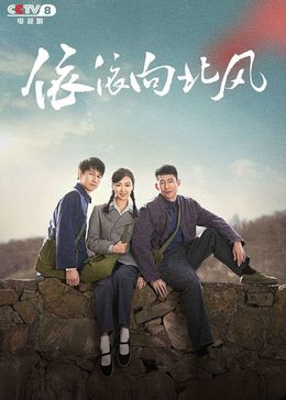 依依向北风封面图