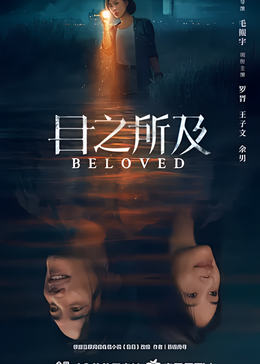 目之所及封面图