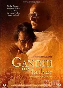 我的父亲甘地