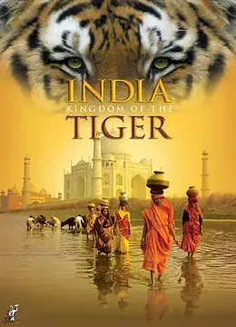 印度：老虎王国