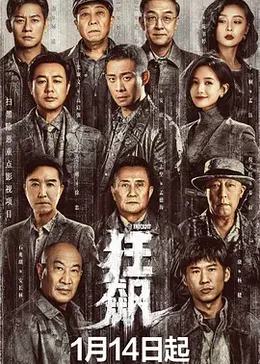 狂飙封面图