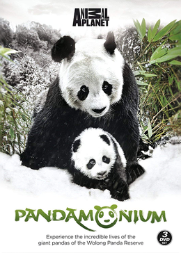 熊猫总动员