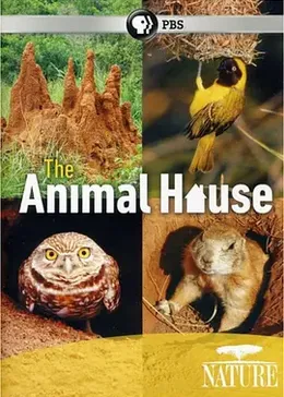 自然世界：动物之家