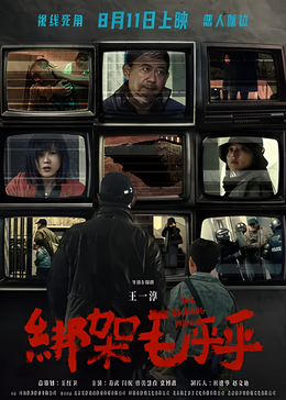 绑架毛乎乎封面图