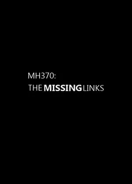 MH370：缺失的环节