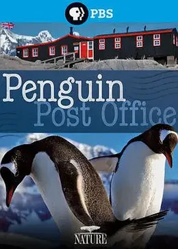 自然世界：企鹅邮局